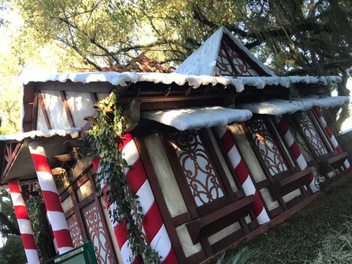 São José quer fazer Natal Iluminado virar referência turística na região