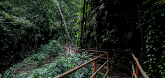 MTur contrata consultoria para apoiar desenvolvimento de trilhas de longo curso no Brasil